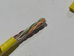 Windy City Wire 23/4P CAT6 550MHz UTP Network Cable CMP Plenum Yellow /100ft