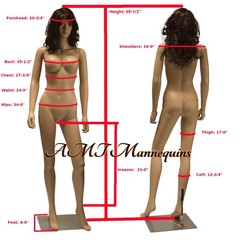 Female mannequin+metal stand, Head turns Fullbody sexy bust realistic looking-SW