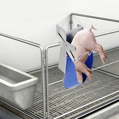 Piglet Castration Tools, Stainless Steel Pig Castration Rack Tools Piglet Castra