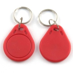 50/100/200x RFID Key Fobs UID 13.56MHz Rewritable Proximity IC Smart Token Tag