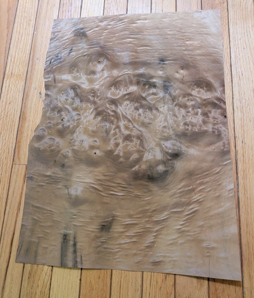 Myrtlewood burl veneer 1 piece 21″ x 15 1/4″ to 16″ & 1/42″ wood cracks 9″