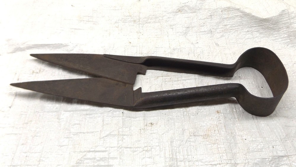 Vintage Western Shear Co. Antique Wool Sheep Goat Metal Shears Scissors 12″ Long