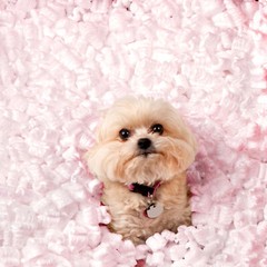 UOFFICE Anti Static Packing Peanuts Pink 7 cuft. Industrial Shipping Void Fill