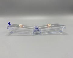 10x Denture False Inlay Teeth Membrane Case Hinged Display Jewelry Box 10x10x4cm
