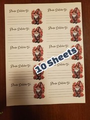 10 Sheets please deliver to address shipping labels (PDT) pen pal, mail