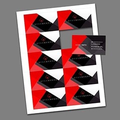 Blank Business Cards 3.5×2” Heavyweight 80lb Cardstock – 1000 Perforated Sheets