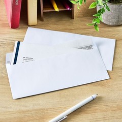 Pen + Gear 10 Privacy Tint Peel and Stick Envelopes White 4.13 X 9.5, 250ct