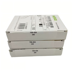 1PC New IN BOX WAGO 750-454 2 Channel Analog Input Module 1 YEAR WARRANTY