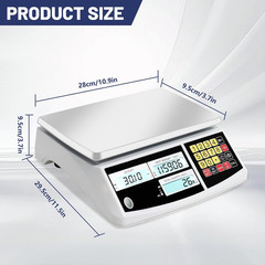 Counting Scale, Coin Scale to Weigh Coins, Precision Electronic Gram Scale for P