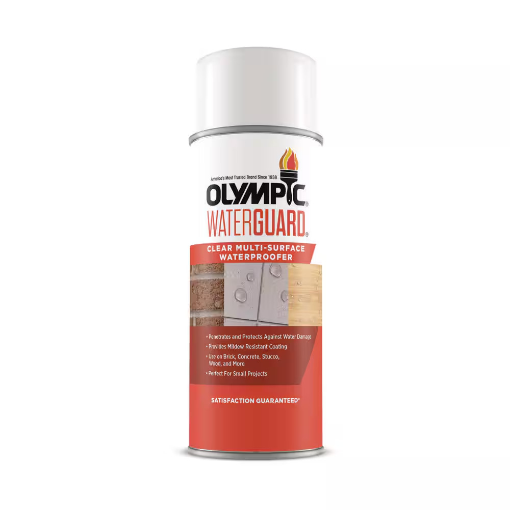 Waterguard 11 Oz. Clear Multisurface Exterior Waterproofing Sealer Spray