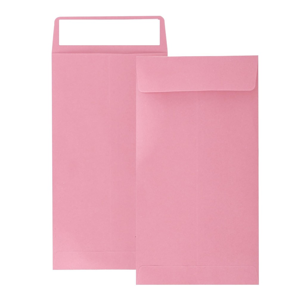 100 Pcs 3.5×6.5 Inch Paper Money Envelopes for Cash Coin Seeds Small Items