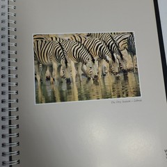 New: Images of Nature Address Book, Featuring Photos by Thomas Mangelsen