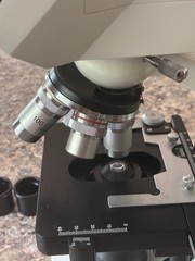 OMAX M82E 40X-2000X LED Binocular Compound Microscope + A3503S Digital camera LN