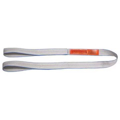 Lift-All Ee2806tfx6 Web Sling, Type 3, 6 Ft L, 6 In W, Polyester, Silver