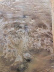 Myrtlewood burl veneer 1 piece 21″ x 15 1/4″ to 16″ & 1/42″ wood cracks 9″