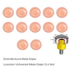 US Dental Overdenture Abutment Retention Cap Locator male processing Inserts Set