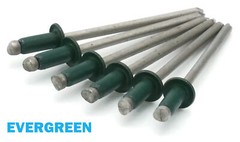 Pop Rivets 1/8″ Diameter #4 Painted Stainless Steel Blind Rivets – Select Color