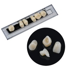 168Pcs/Box Acrylic Resin Denture #23 Dental Upper Lower Shade A2 Teeth Set US