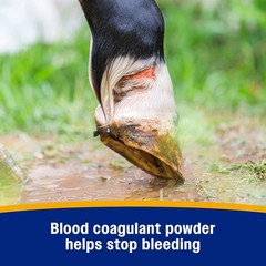 Farnam Wonder Dust Wound Powder, Blood Coagulant for 4 Ounce, Multicolored