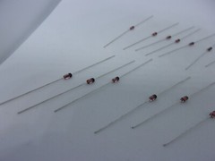 20 Pcs Pack Lot Silicon Planar Zener Diodes 1/2W 0.5W DO-35 Package DIP – 9V1