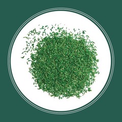 Pennington Smart Seed Sun and Shade Grass Mix 20 lb, Black Label 20 lb