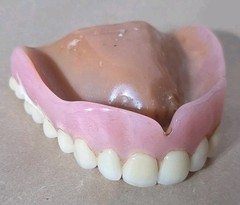 Dentures False Fake Teeth Upper Plate Dentist School Oddity Halloween Prop
