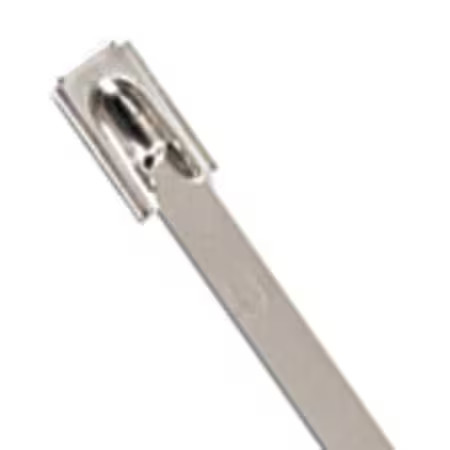 Ty-Rap Ls-7.9-520A Cable Tie, 20-1/2 In L, 6 In Max Bundle Dia., Silver, 304
