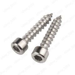 M2 M2.6 M3 M4 M5 M6 304 Stainless Steel Hex Socket Cap Head Self tapping Screws