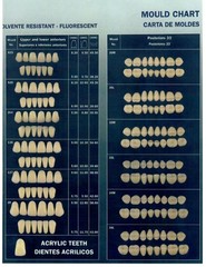 Dental Anterior & Posterior Complete Denture Partials Acrylic Resin Teeth Set