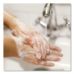 Dial Professional 35452 1 gal. Antibacterial Foam Hand Wash – Orig. (4/CT) New