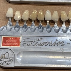 Lumin-VACUUM Teeth Denture Shade Guide Lot Made in Germany