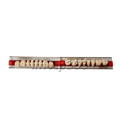 Acrylic Synthetic Resin Denture Teeth Vita Color Shade A2/A3 Upper Lower -84Pcs
