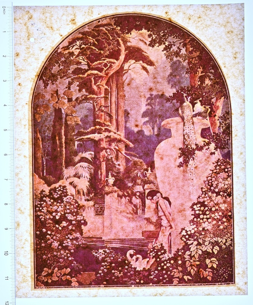 Original VINTAGE 1970s Heat Transfer | Garden Scene with Swans