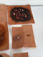 Traumatic Wound Simulation Lot Of 27 For Education Medical Plastics Laboratory