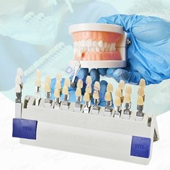 Dental VITA Toothguide 3D Master with Bleached Shade Guide Resin 29 Colors