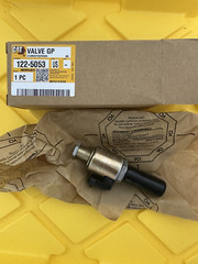 1225053 – VALVE GP 12 VOLT. CAT 122-5053