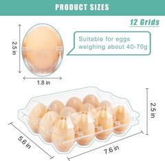 100-Pack Clear Plastic Egg Cartons for 12 Eggs 3×4 Grid Bulk Commercial Use
