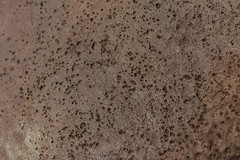 Walttools – Seamless, Lightweight Concrete Texture Roller – Pitted Stone 18″