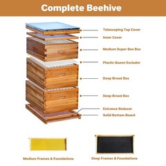 10-Frame Complete Beehive Kit: Beeswax Coated Hive with 2 Deep & 1 Medium Boxes