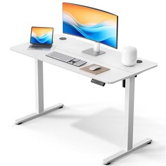 Electric Standing Desk 48 x 24 Inches, Height Adjustable Sit Stand Computer D…