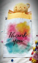 Designer Polymailer Colorful Thank you poly mailers 10×13