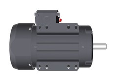 Techtop Electric Motor 2 HP 1800 Rpm 1-PH 115/208-230 Volt 145T Frame