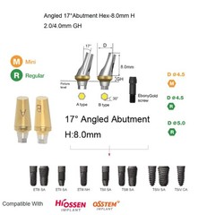 US Hiossen Dental Straight Locator Healing Cap Abutment Regular Mini ET Platform