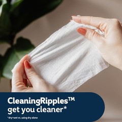 Cottonelle Flushable Wet Wipes 336 Count 8 Packs Fresh Feel Adult Hygiene