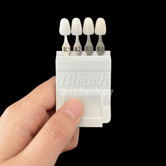 Dental Bleach Shade Guide BL1 4Colors Bleached Chart Teeth Based Vita US STOCK