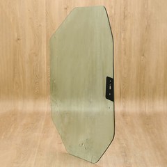 Door Glass fits Gehl Skidsteer Skid Loader R220 V400 R190 V270 GEN2 R260 #244242