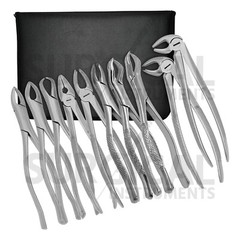 Set of 10 Extracting Forceps Dental Extraction Instruments German Grade