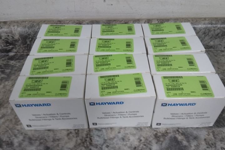 Hayward TC10050ST 12 Pk 1/2 In FNPT x Socket Connection 6 GPM Check Valve