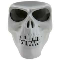 Global Vision Skull Mask Motorcycle Riding Goggles Full Face Mask w/ Smoke Lens