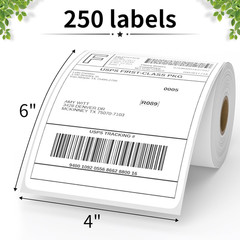 4″ x 6″ Direct Thermal Labels, Perforated, 1″ Core, 250 Labels per Roll